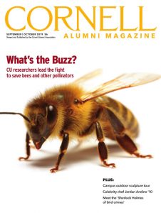Magazine cover featuring a honey bee